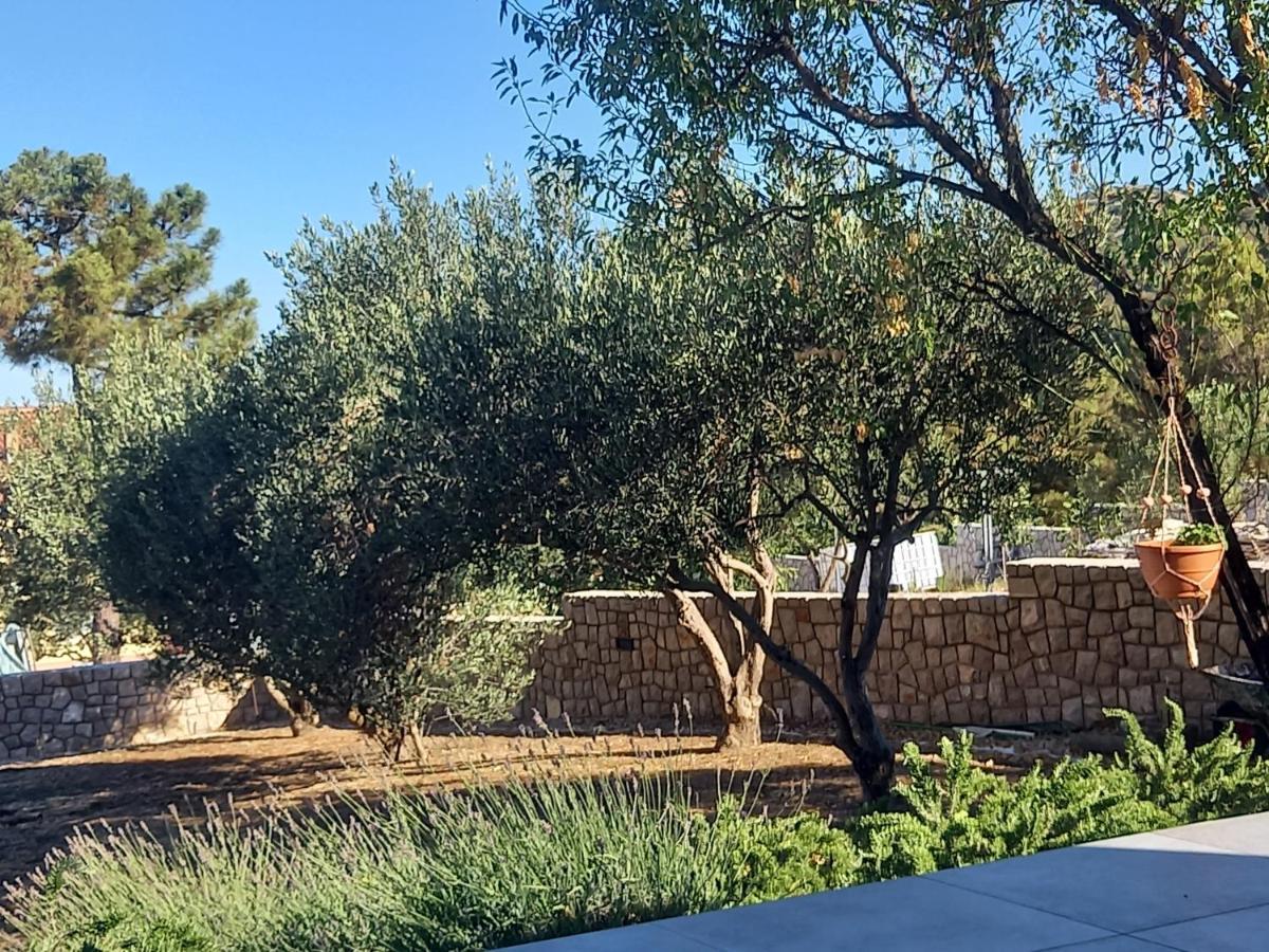 דראגה Oleandra Apartments מראה חיצוני תמונה
